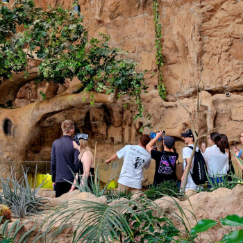 440941458_970191615106898_1278358495872285951_n