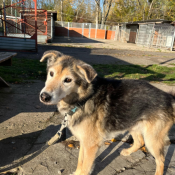 467246467_1118011980324860_8776310018471101050_n