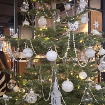 469708256_1136055095187215_4106414815882967991_n