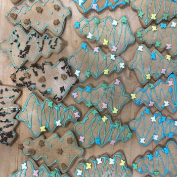 553521ca-eadf-4f8c-a8a4-a17f335dae51