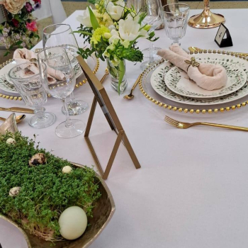 490346775_1235354855257238_6701447774121751065_n