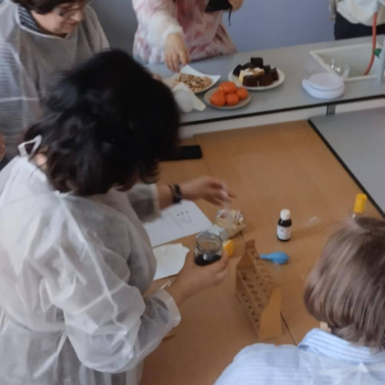 490103519_1234311235361600_7327183323353150832_n