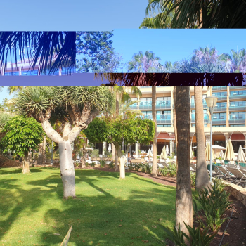 516323317_1310668827725840_2180092959220675715_n