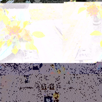 574326403_1418719520254103_5933494083009881304_n