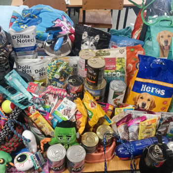 840bc4d6-baf1-48c7-8ecb-b43d3062b77e