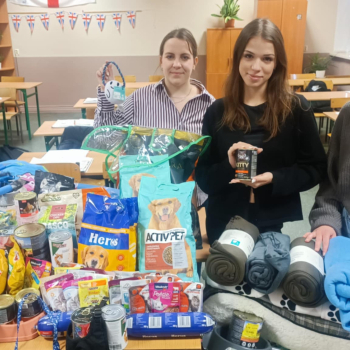 92243845-59e6-4d0d-af04-615c84142011