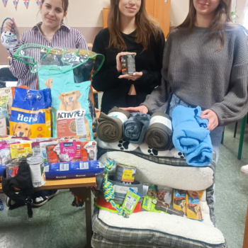 9636973f-707f-4531-952d-5aa615af9640