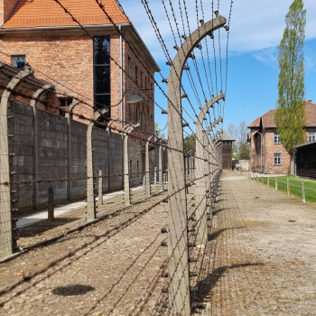 681077478_1574887221303998_7126271415667562725_n