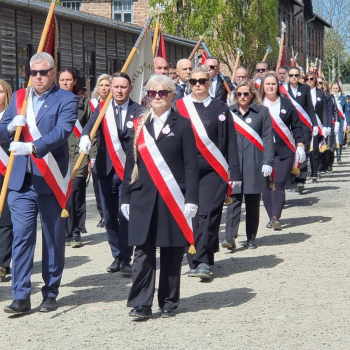 682418422_1574887824637271_4849012261356485270_n