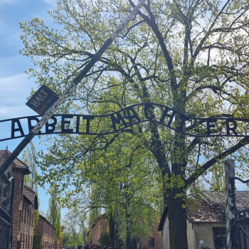 682621214_1574886734637380_8002765838738483027_n