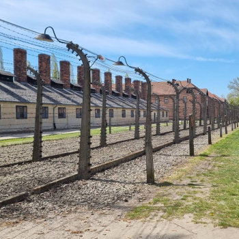 682700121_1574886817970705_3638331117949653553_n