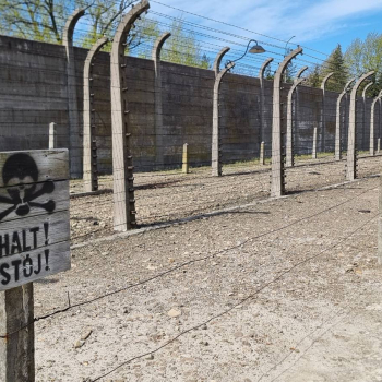 684289984_1574887031304017_434830069106051879_n