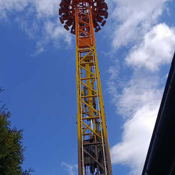 0081229b-ee77-4cfd-b399-c0c5d8caeef8